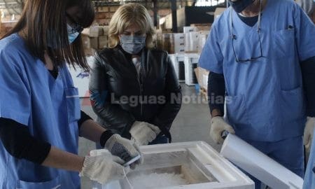 Covid 19: La provincia recibió el primer lote de vacunas Pfizer