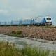 La Picasa: Un tren de pasajeros volvió a circular por el pedraplén de la laguna