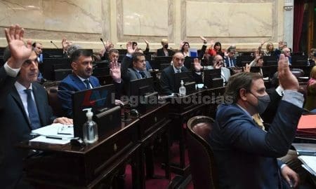 El Senado convirtió en ley por unanimidad el alivio fiscal para entidades sin fines de lucro