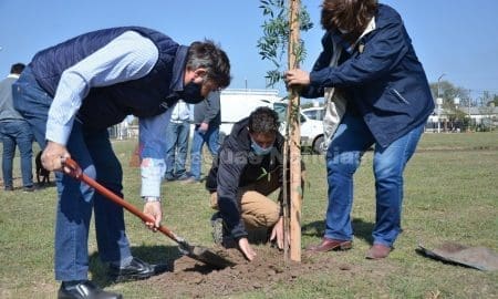 Venado Tuerto: El gobierno municipal y el Rotary Club plantaron cien árboles en Plaza "Papa Francisco"