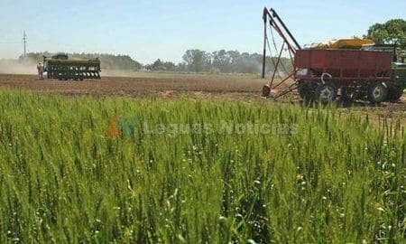 Anuncio del Gobierno: Estiman que se generarán nuevas exportaciones del agro por US$7000 millones