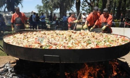 Teodelina: Se viene la 7ª edición de la Fiesta Provincial del Pollo al Disco