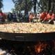 Teodelina: Se viene la 7ª edición de la Fiesta Provincial del Pollo al Disco