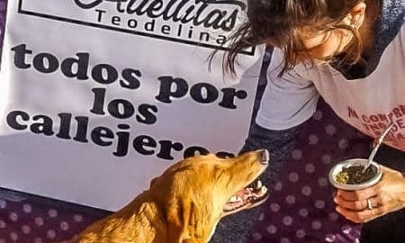 El senador Enrico sigue acompañando a grupos para la protección de animales en la región