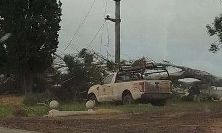 Villa Cañás: Otra vez en un mes fuertes vientos provocaron caída de árboles colapsando el servicio eléctrico