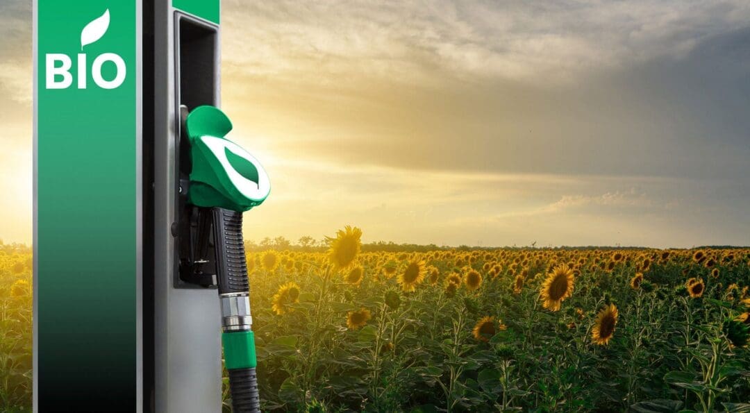 Biocombustibles para la generación eléctrica en Santa Fe