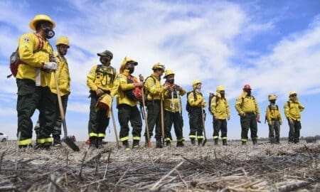Día de la Tierra: Lewandowski presentó un proyecto para reconocer a los brigadistas que integran el Sistema Federal del Manejo del Fuego