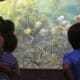 Turismo: Balance exitoso del fin de semana largo en la provincia