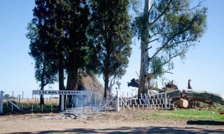 Ruta 94: Compromiso asumido y cumplido en la extracción de árboles para evitar cortes de energía eléctrica