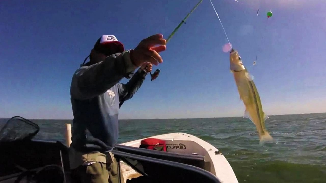 La provincia inició el reempadronamiento de pescadores artesanales