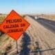 Ruta 90: El senador Enrico vuelve a reclamar al gobierno provincial la terminación de una obra hecha a medias