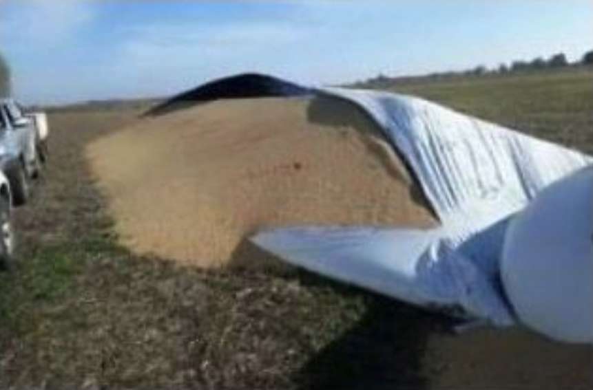 Teodelina: Robaron 8.000 kilos de soja a un productor