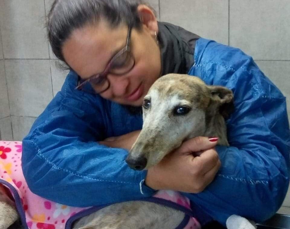 María Teresa: Se realizaron más de 50 castraciones a caninos y felinos