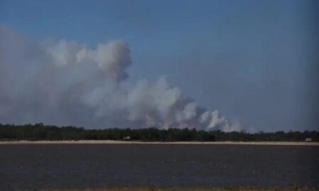 Nación ordenó la intervención de las Fuerzas Armadas por los incendios en el Delta