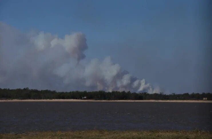 Nación ordenó la intervención de las Fuerzas Armadas por los incendios en el Delta