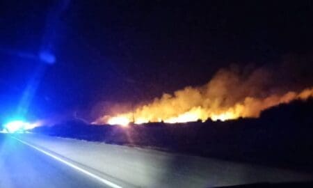 Venado Tuerto: Voraz incendio a la vera de la Ruta 33