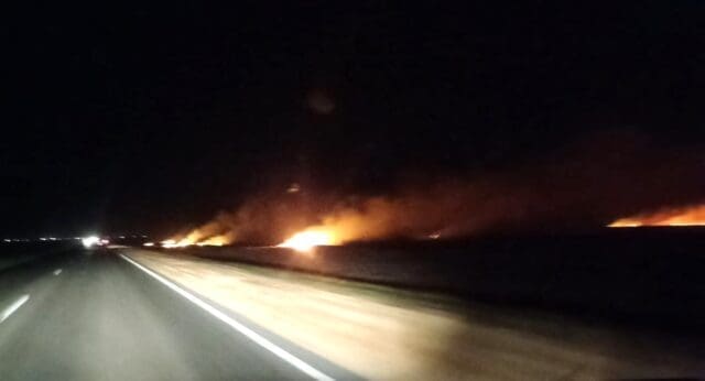 Venado Tuerto: Voraz incendio a la vera de la Ruta 33 Venado Tuerto: Voraz incendio a la vera de la Ruta 33