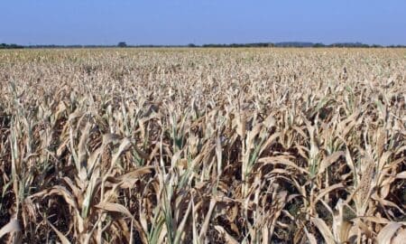 Sequía: Enrico informó que la provincia decidió prorrogar la asistencia a los productores afectados