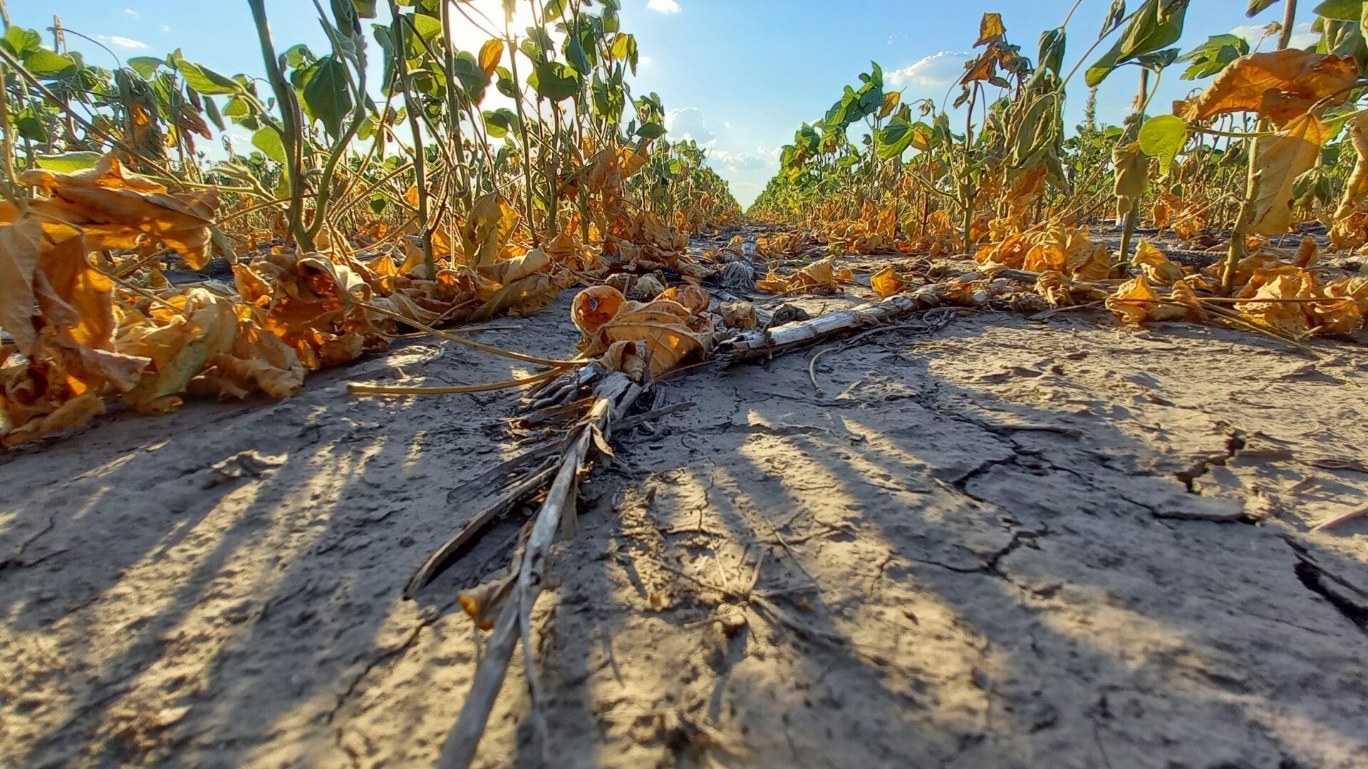 La provincia impulsa una nueva línea de financiamiento por $500 millones para productores