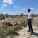 Sequía en Santa Fe: Pullaro pidió la presencia del ejército para asistir zonas afectadas