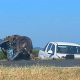 Wheelwright: Accidente fatal sobre Ruta Nacional 8