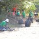 Venado Tuerto: Misión Ambiental + Caminata con recolección de residuos para recuperar otra calle en la ciudad