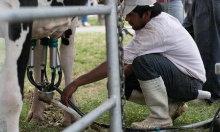 Enrico pide al gobierno provincial medidas que mejoren la remuneración del tambero por la leche que produce