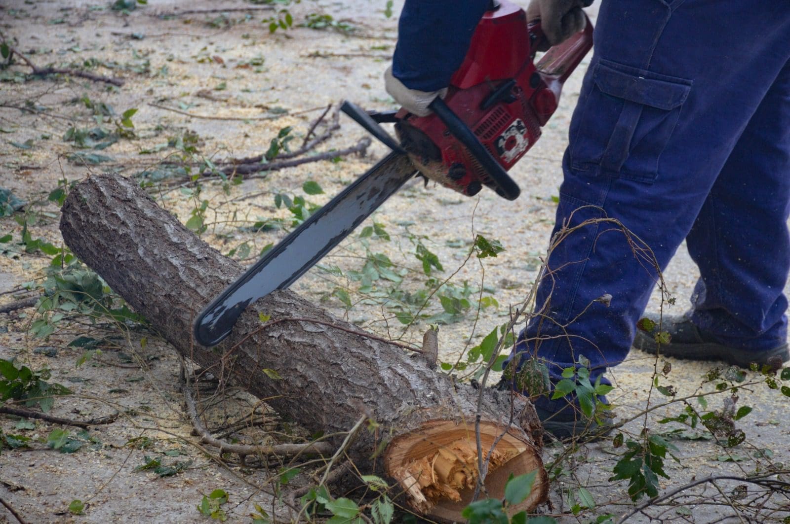 Venado Tuerto: El gobierno municipal ya distribuyó cerca de 5 mil kilos de leña para calefacción de hogares