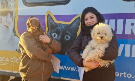 Venado Tuerto: El quirófano móvil municipal tuvo 16 operaciones y más de cien vacunas aplicadas