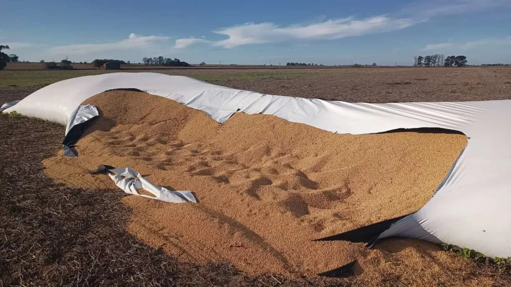 Villa Cañás: Robaron cinco toneladas de soja de un campo