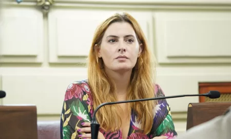 Cattalini: Hay que evitar las ejecuciones hipotecarias de viviendas de quienes tomaron créditos UVA