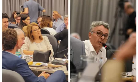 El socialismo presentará dictamen propio en el plenario de comisiones de la Cámara de Diputados