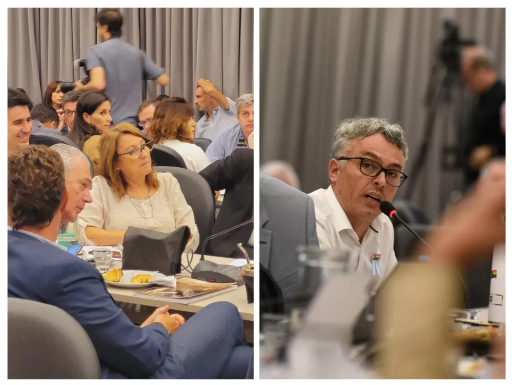 El socialismo presentará dictamen propio en el plenario de comisiones de la Cámara de Diputados