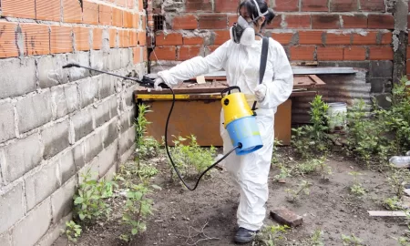 Dengue: Rosario reporta el primer fallecimiento y se intensifican los operativos de control