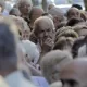 Fuerte ajuste en jubilaciones: en febrero el poder adquisitivo será más bajo que tras la crisis de 2001