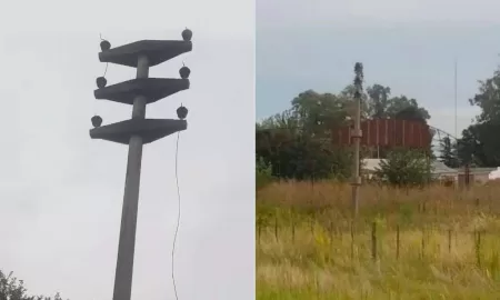 Venado Tuerto: Robaron unos 3000 metros de cable de alta tensión en el Frigorífico Swift