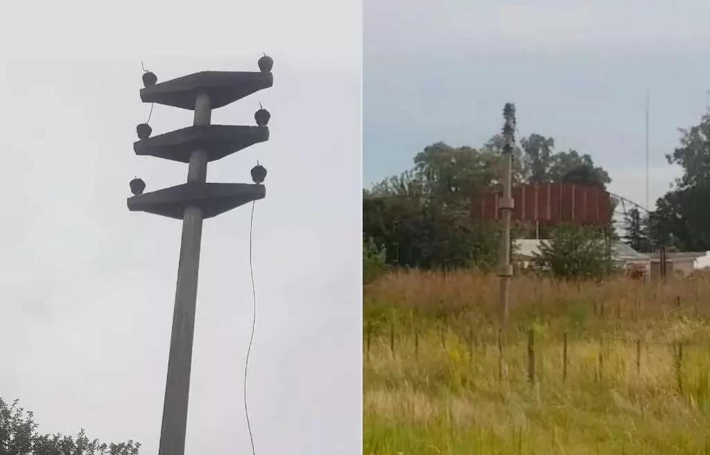 Venado Tuerto: Robaron unos 3000 metros de cable de alta tensión en el Frigorífico Swift