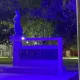 María Teresa conmemoró el Día de las Enfermedades Poco Frecuentes