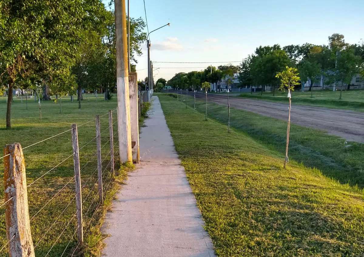 Carmen: La Comuna avanzó con la construcción de 6000 m2 de veredas