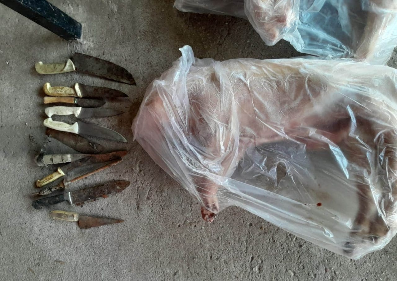 Teodelina: Allanamientos positivos con detenidos por abigeato