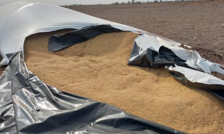 Los delitos rurales se pueden denunciar de manera virtual