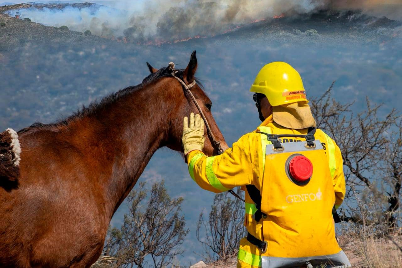 Córdoba: Arduo trabajo de brigadistas santafesinos en el combate de incendios