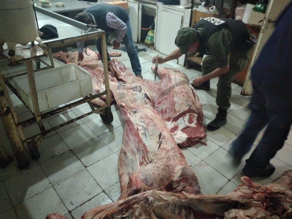 Villa Cañás: Decomisaron 650 kg de carne vacuna en múltiples inspecciones en carnicerías