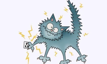 Editorial: La culpa siempre es de un gato, nunca de la ineficiencia