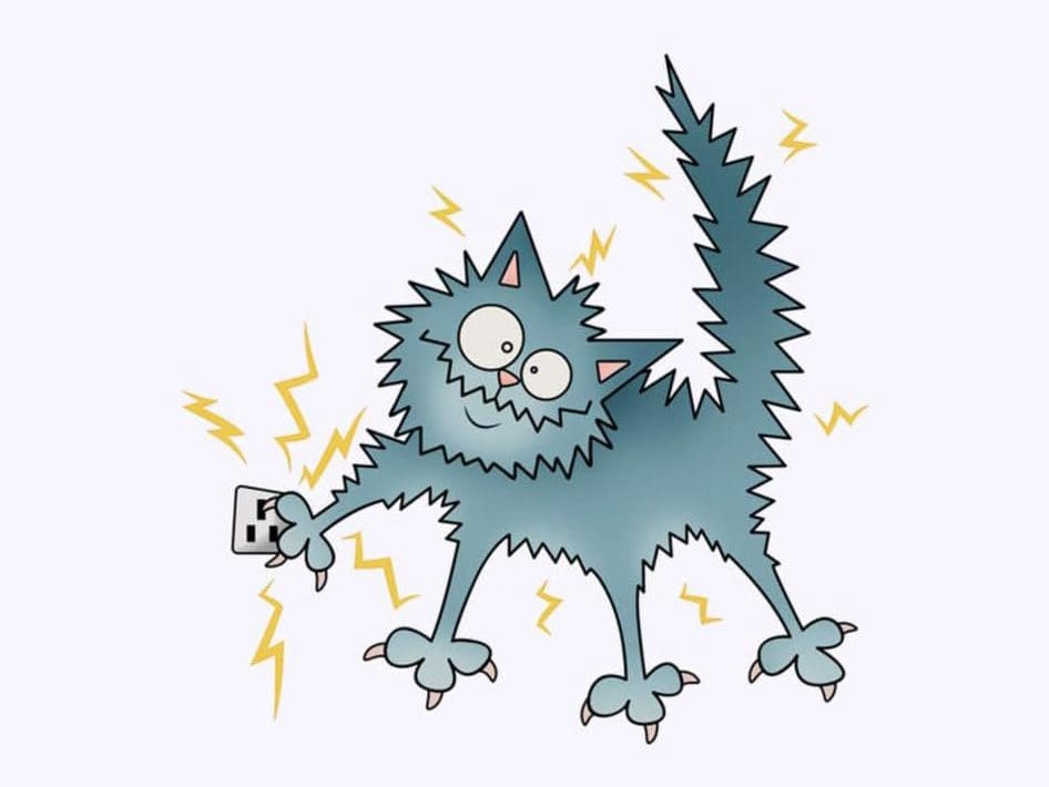 Editorial: La culpa siempre es de un gato, nunca de la ineficiencia