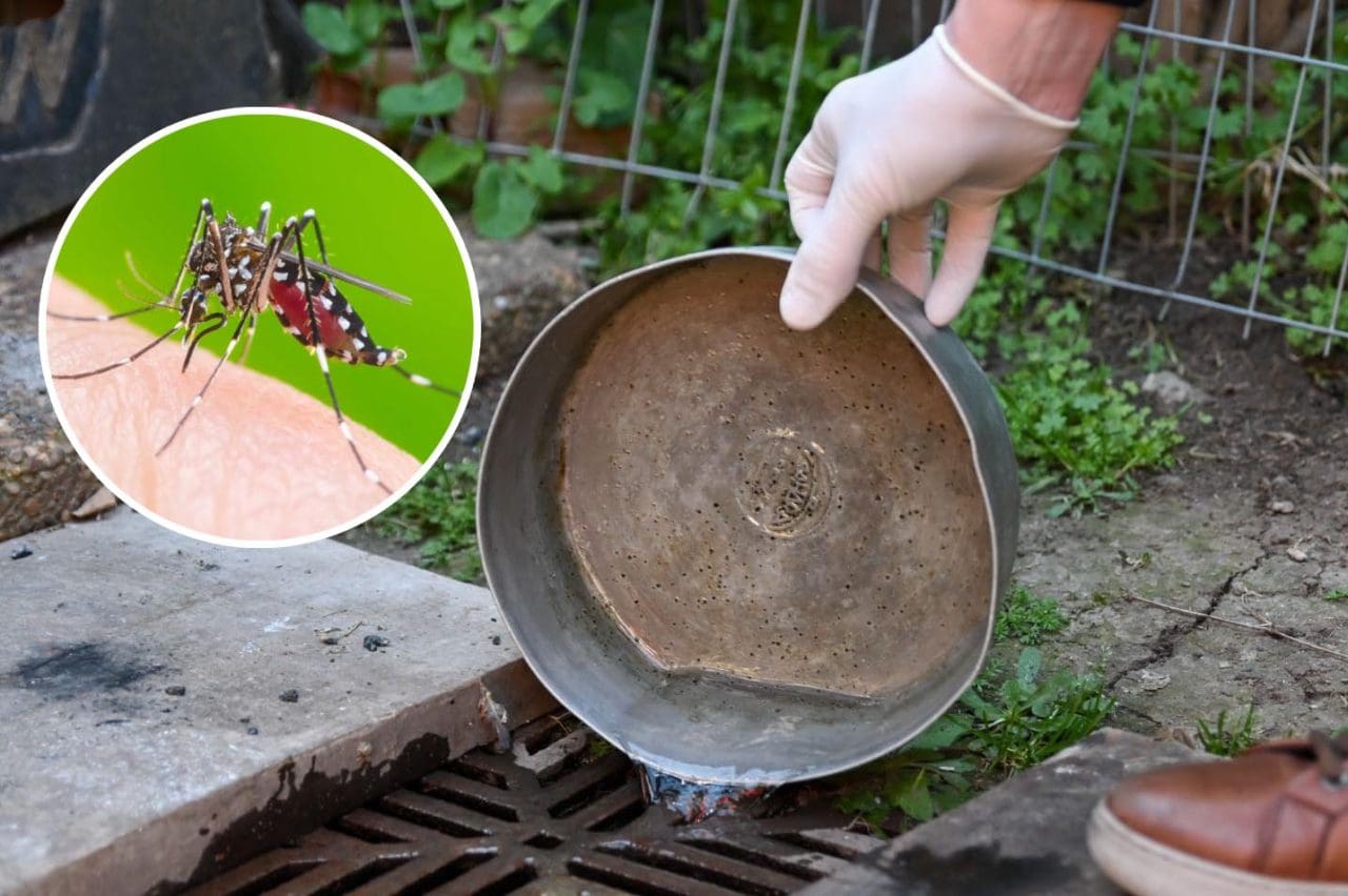 Se detectó el primer caso autóctono de dengue en la provincia de Santa Fe