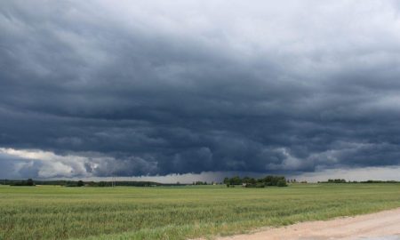 Sorpresa positiva: Lluvias alivian la región núcleo con registros destacados