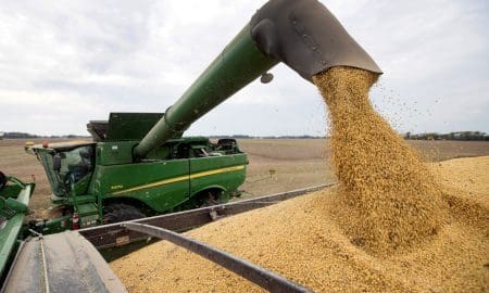 El Gobierno anunció baja de retenciones a principales cultivos y la eliminación para economías regionales