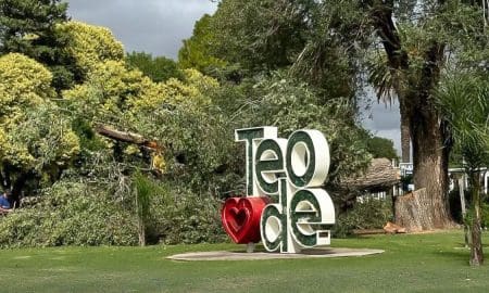 Motosierras en Teodelina: Polémica por la tala de árboles en la Plaza Ituzaingó