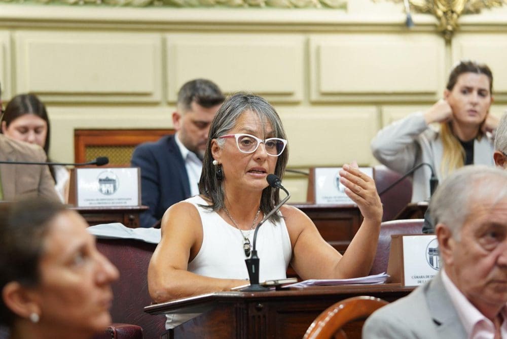 Discapacidad en Emergencia: Rosana Bellatti repudió los dichos del titular de ANDIS, es urgente ponerle un límite a tanta crueldad